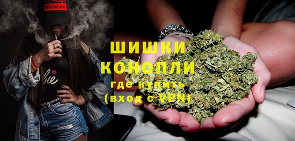 дмт Новозыбков