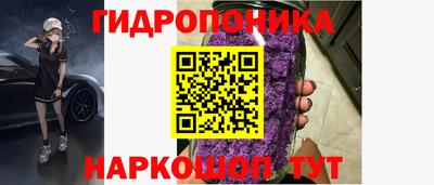 a pvp Гусь-Хрустальный