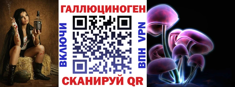 Псилоцибиновые грибы Psilocybine cubensis  Энгельс 