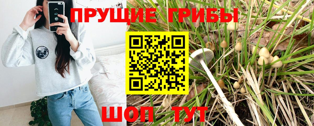 Псилоцибиновые грибы GOLDEN TEACHER Энгельс
