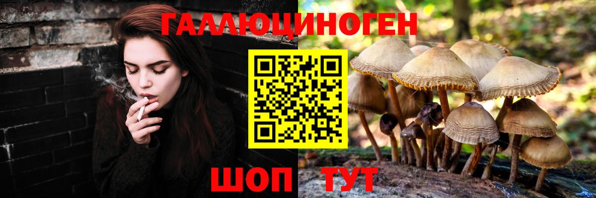 Энгельс  Галлюциногенные грибы MAGIC MUSHROOMS  Псилоцибиновые грибы MAGIC MUSHROOMS  Вход с VPN 